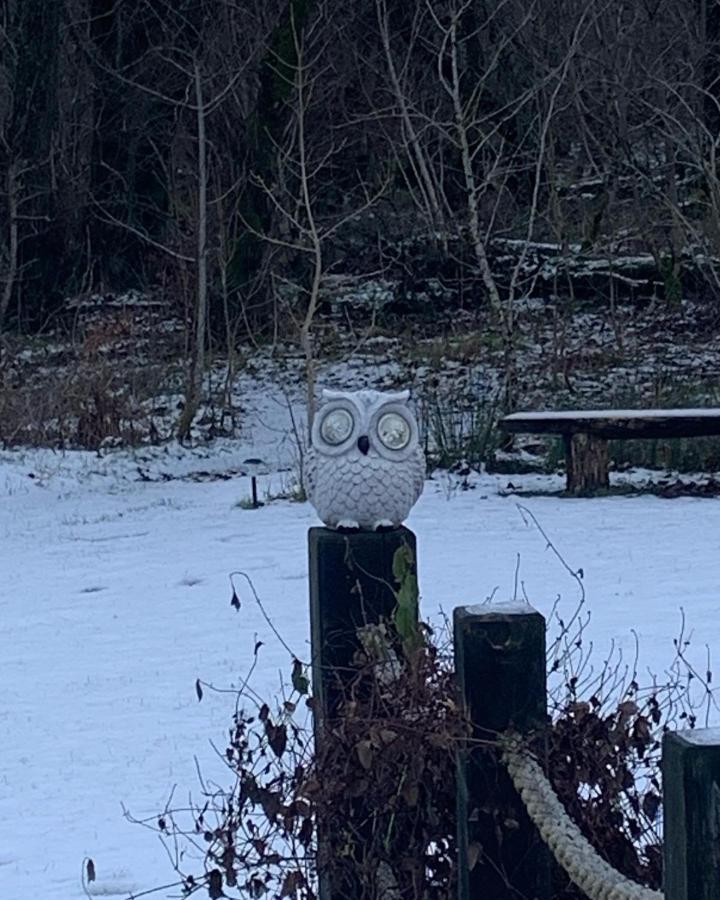 Owlswood Apartments Edinbane Eksteriør billede